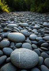 Smooth Gray Stones in Riverbed with Forest Background During Daytime