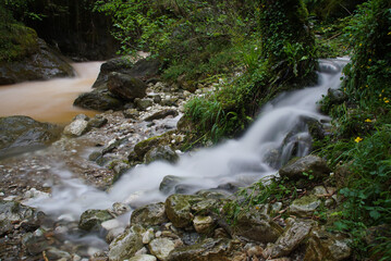 waterfall in the forest
