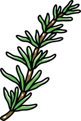 rosemary illustration