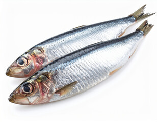 Obraz premium The smoked sprats lying on a white background