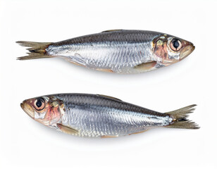 Obraz premium The smoked sprats lying on a white background