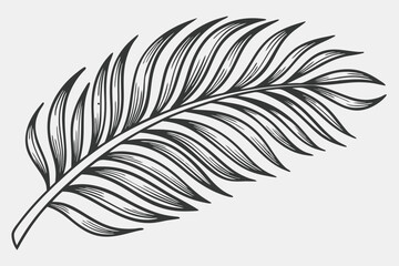Obraz premium 97 Botanical illustration, palm leaf, detailed engraving, black and white, high contrast, fine linework, symmetrical composition, vintage scientific drawing, textured, realistic, tropical plant, simpl