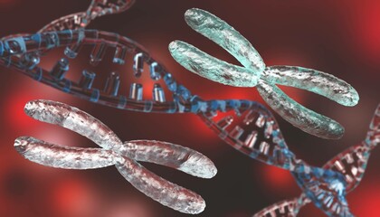 X chromosome against the background of DNA. Chromosomes and DNA.
3D rendering