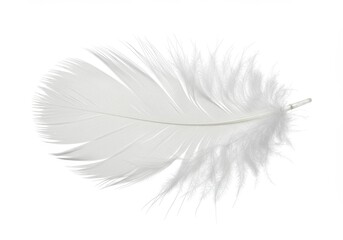 Delicate white feather lying on a clean white background, creating a sense of lightness and purity