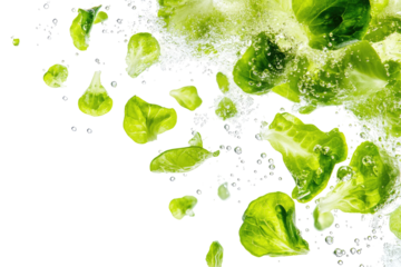 Fresh Brussels Sprouts in Water