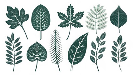 Fototapeta premium Various Leaf Pictograms Representing Nature in Gigapixel Standard