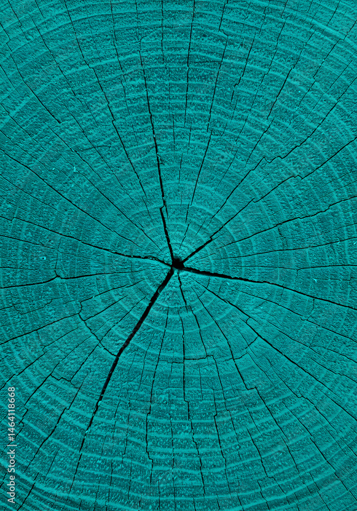 Poster turquoise wood texture abstract background showing circular pattern detail