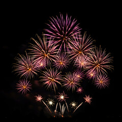 Vibrant Fireworks Bursting Against Black Night Sky Celebration