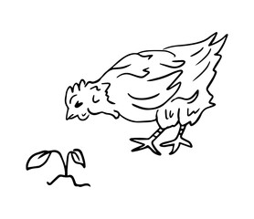 Homemade chicken and flower, vector drawing in doodle style. Farm animals is a monochrome hand-drawn contour illustration. A happy chicken for a brand of home products.