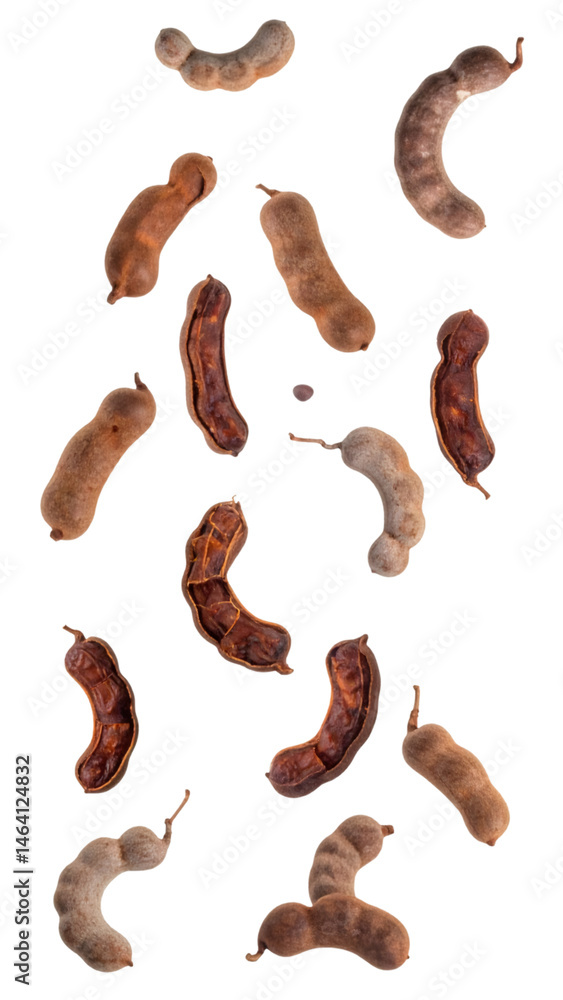 Poster multiple dried tamarind pods falling on transparent background