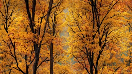 Seamless Pattern of Golden Autumn Trees Capturing Nostalgia and Beauty