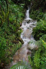flowing water in a creek over the mountains in tuscany