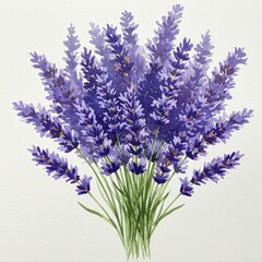 Naklejka premium Watercolor Lavender Bouquet Purple Floral Aromatic Fragrant Illustration