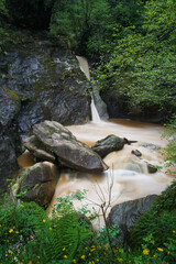waterfall in the forest