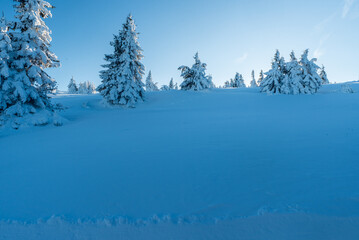 Winter bellow Praded hill summit in Jeseniky mountains in Czech republic