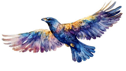 Fototapeta premium blue bird flying