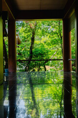 Scenery of Kyoto, Japan