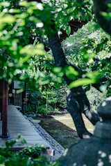 Scenery of Kyoto, Japan