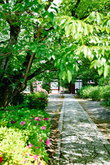 Scenery of Kyoto, Japan
