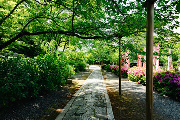 Scenery of Kyoto, Japan