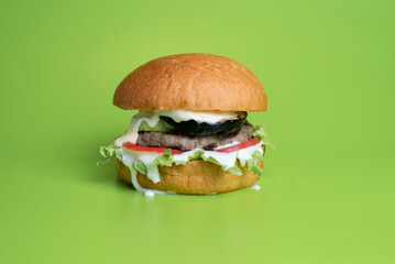 Appetizing tasty burger on a green background