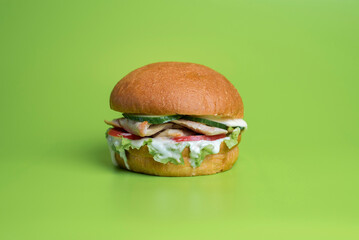 Appetizing hamburger garnished with fresh lettuce and tomatoes on green background in studio