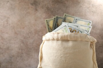 Bag with dollar banknotes on color background, closeup. Space for text