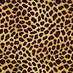 leopard print, leopard pattern, skin leopard, leopard, leopard pattern, leopard texture, leopard skin, fur, leopard print, leopard cheetah, leopard fabric, wild, cat, tiger, leopard seamless, safari, 