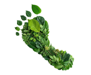 Green footprint made of leaves symbolizing environmental awareness on a transparent background, cut out