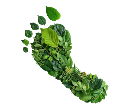 Green footprint made of leaves symbolizing environmental awareness on a transparent background, cut out - Powered by Adobe