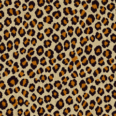 leopard print, leopard pattern, skin leopard, leopard, leopard pattern, leopard texture, leopard skin, fur, leopard print, leopard cheetah, leopard fabric, wild, cat, tiger, leopard seamless, safari, 