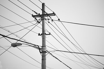 Monochrome Urban Utility Pole with Wires
