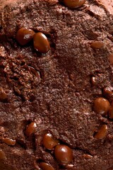 Macro of Chocolate Cookie with Melting Chips, Textured Close-Up for Food Background or Packaging.