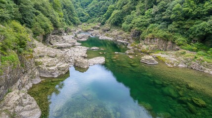 Serene River Valley in Lush Green Mountains