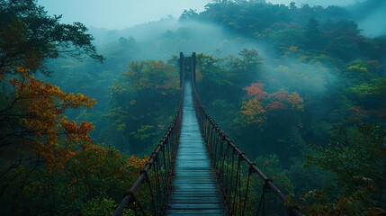 Obraz premium Misty bridge crossing foliage