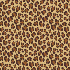 leopard print, leopard pattern, skin leopard, leopard, leopard pattern, leopard texture, leopard skin, fur, leopard print, leopard cheetah, leopard fabric, wild, cat, tiger, leopard seamless, safari, 