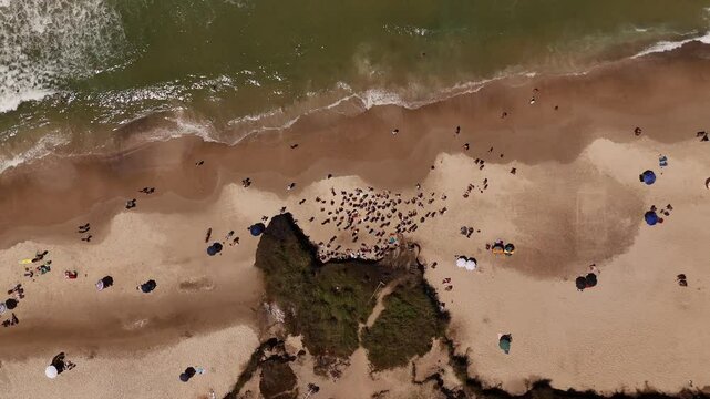 Seashore full of people while enjoying the beach and ocean waves. Aerial top down shot