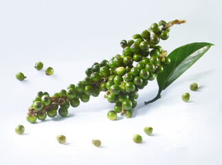 Gruener Pfeffer, isoliert, scharf, Gewürz, frisch, 