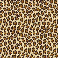 Fototapeta premium leopard print, leopard pattern, skin leopard, leopard, leopard pattern, leopard texture, leopard skin, fur, leopard print, leopard cheetah, leopard fabric, wild, cat, tiger, leopard seamless, safari, 