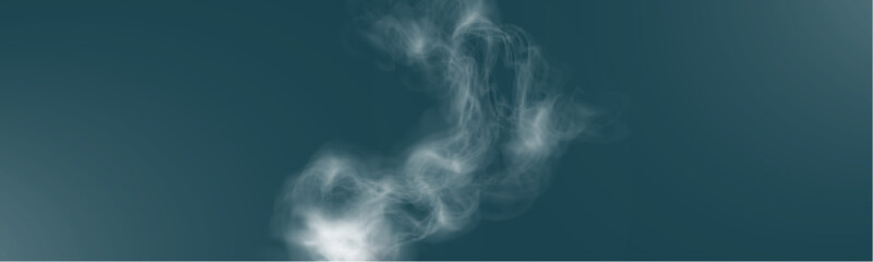 Realistic white smoke on transparent background with soft swirling effect, misty fog, and airy vapor for design projects.
