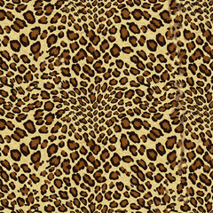 leopard print, leopard pattern, skin leopard, leopard, leopard pattern, leopard texture, leopard skin, fur, leopard print, leopard cheetah, leopard fabric, wild, cat, tiger, leopard seamless, safari, 
