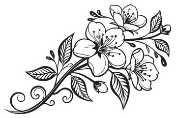20 Elegant floral illustration, black and white ink drawing, intricate botanical details, symmetrical flower arrangement, delicate petals and leaves, ornate line work, vintage botanical style, decorat