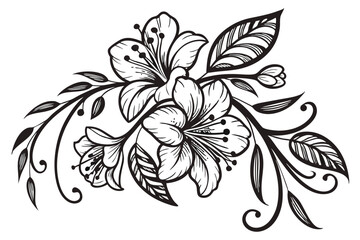 20 Elegant floral illustration, black and white ink drawing, intricate botanical details, symmetrical flower arrangement, delicate petals and leaves, ornate line work, vintage botanical style, decorat