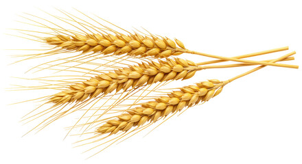 Isolated Wheat Stalks