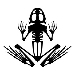 Skeletal system of animals. Black frog bone structure isolated on a white background. Amphibian silhouette.

