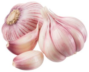 Garlic png. Garlic bulb with clove on white or transparent background. Perfect retouched garlic no background. Transparent png. Full depth of field.