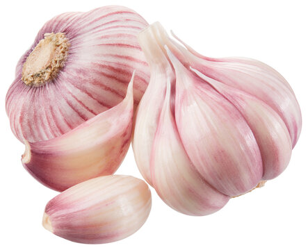 Garlic png. Garlic bulb with clove on white or transparent background. Perfect retouched garlic no background. Transparent png. Full depth of field.