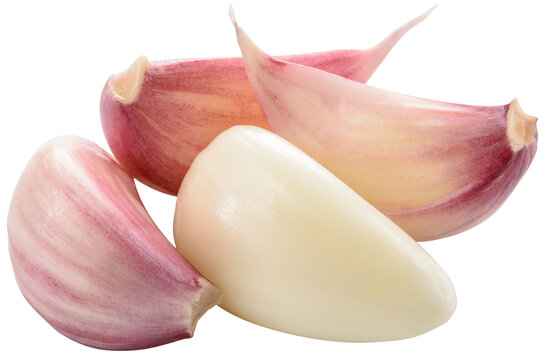 Garlic cloves png. Garlic clove on white or transparent background. Perfect retouched garlic no background. Top view. Transparent png. Full depth of field.