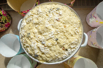 Traditional Easter Bread Dough Rising in Bowl with Paper Baking Molds Around
