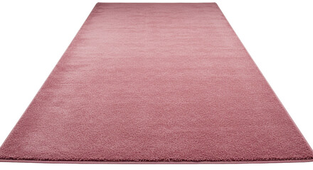 Isolated Pink Rug © Sophia